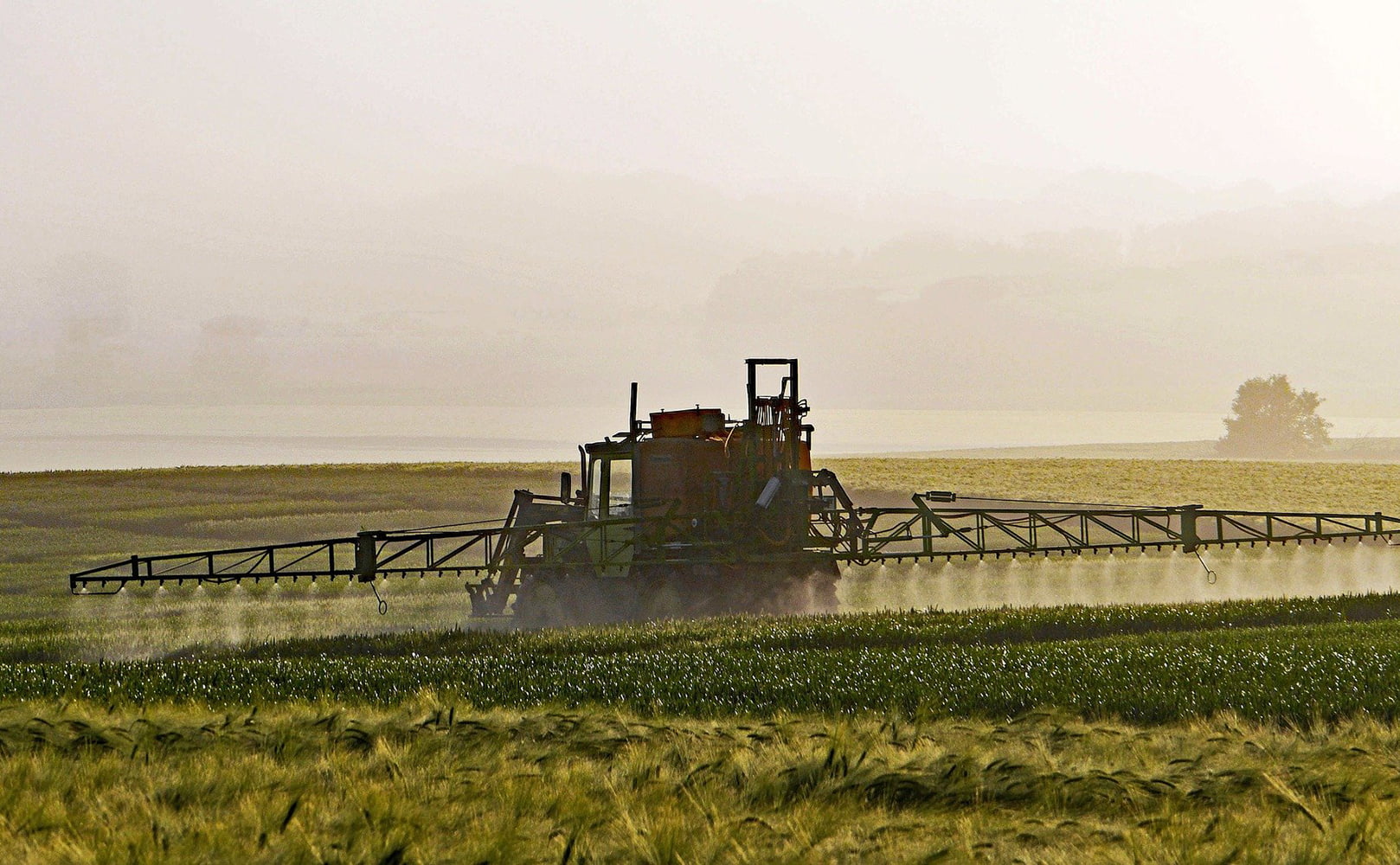 Farmer Spraying Pesticides on Wheat Field